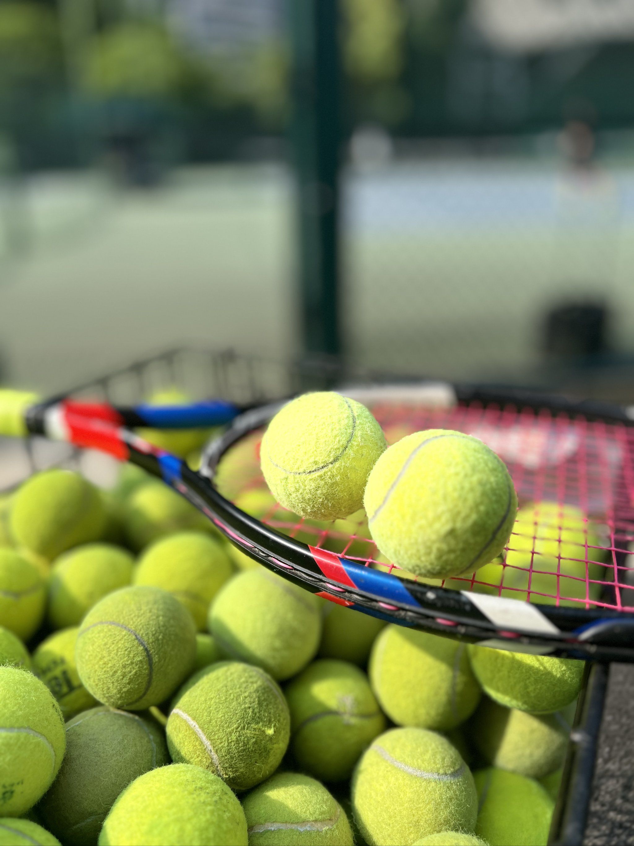 对球员与经 对球员与经